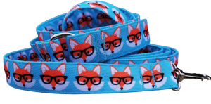 Smycz miejska dla psa "Liski Profesorki"