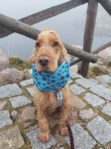 b7bfcff56d518622f3d2992334a6ae61