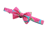Muszka na obroży "ArbuzoweLove"