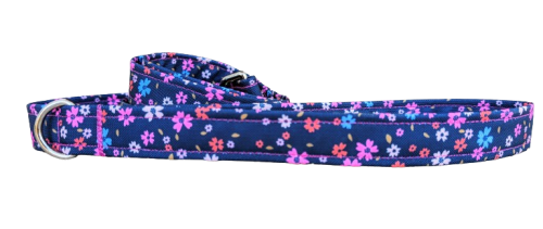 PXL_20240517_071328993.RAW-01.COVER_2__2_-removebg-preview (1).png